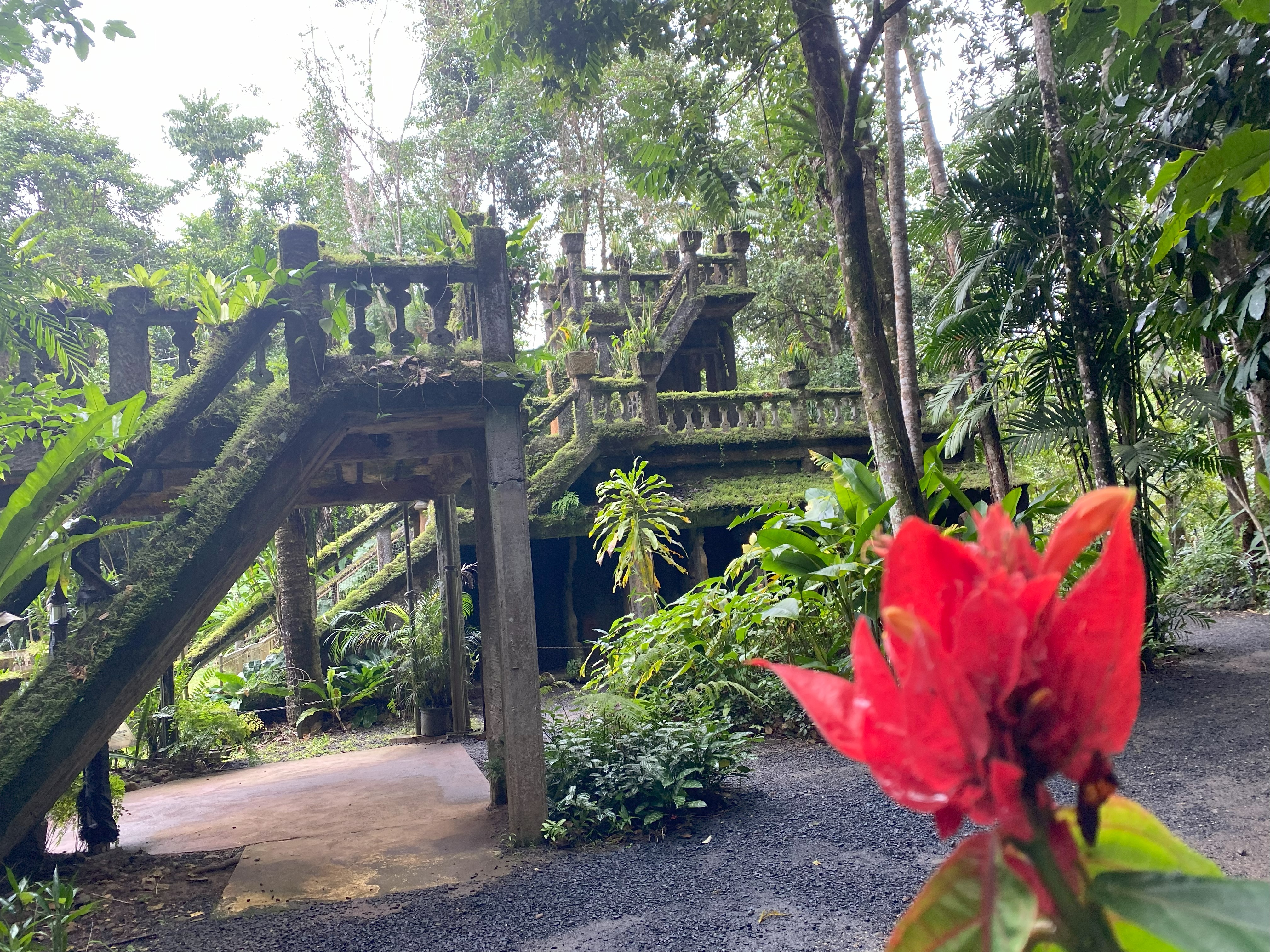 PARONELLA PARK EXPERIENCE