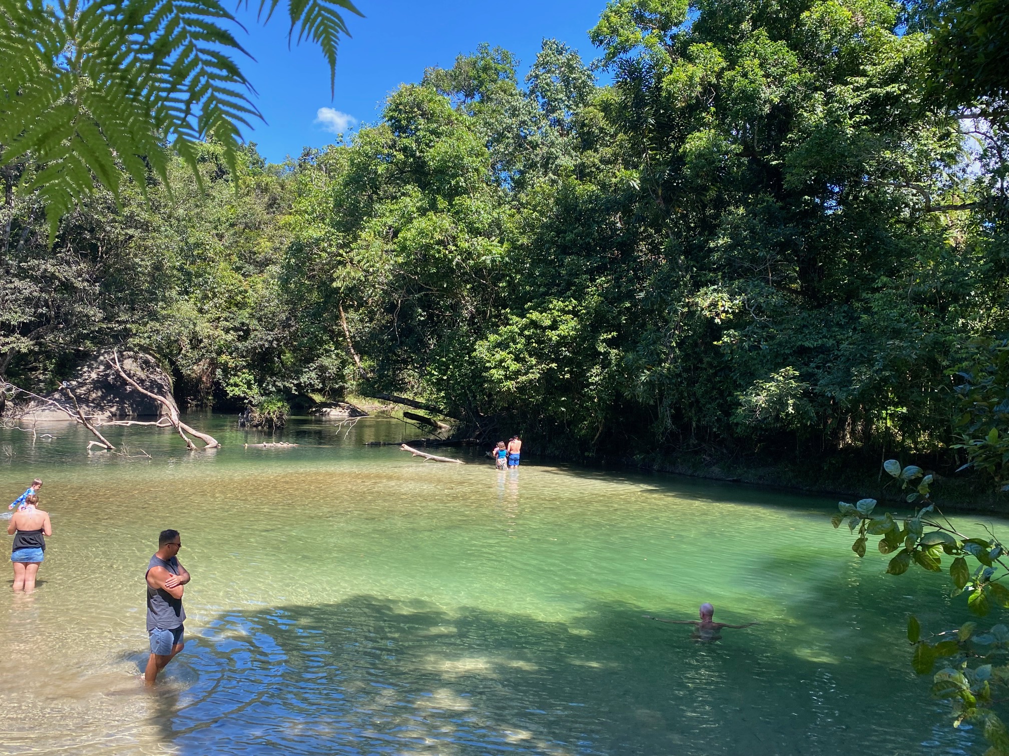 CASSOWARY COAST WATERFALL CULTURE TOUR