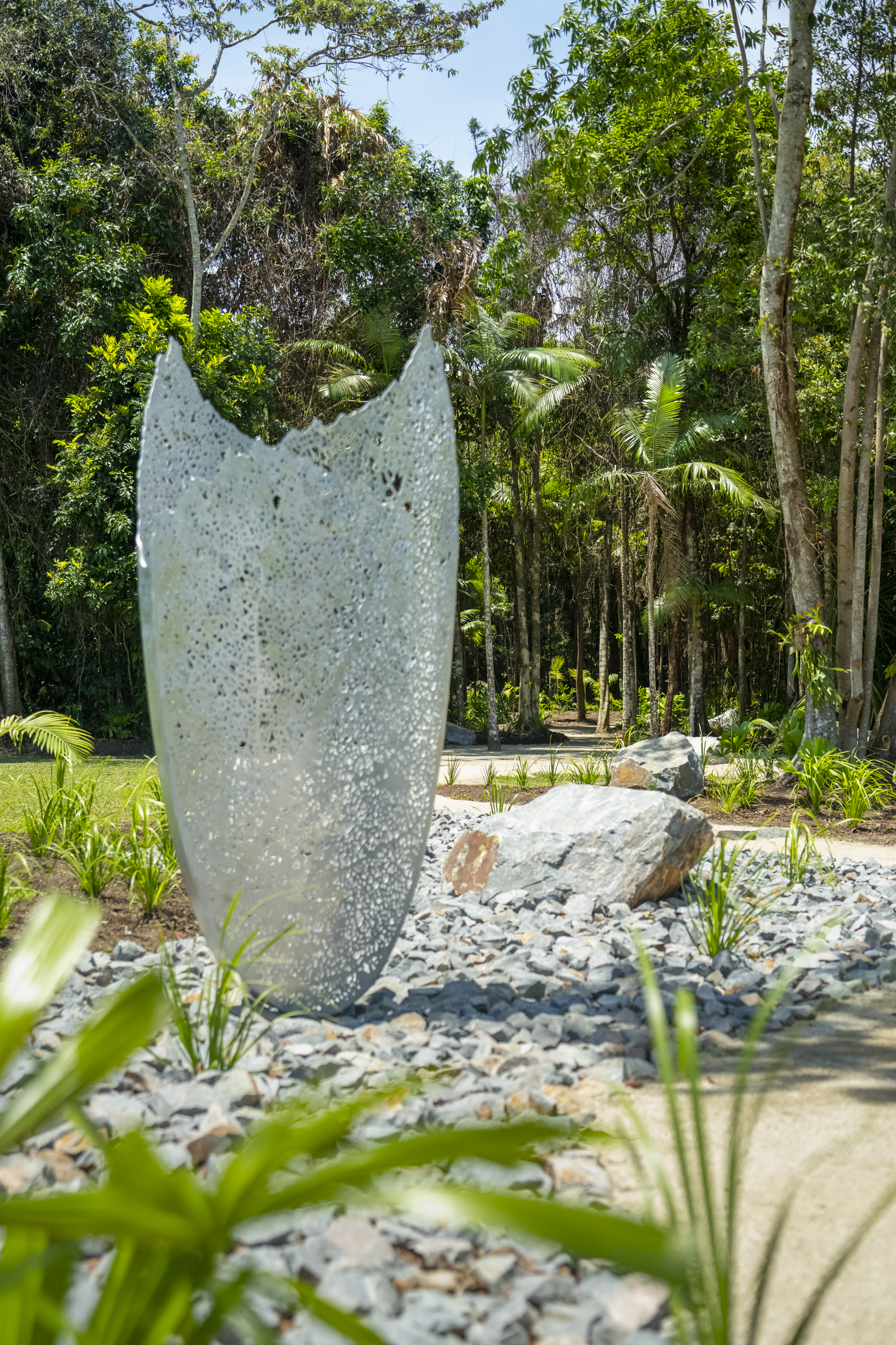 CASSOWARY COAST WATERFALL CULTURE TOUR