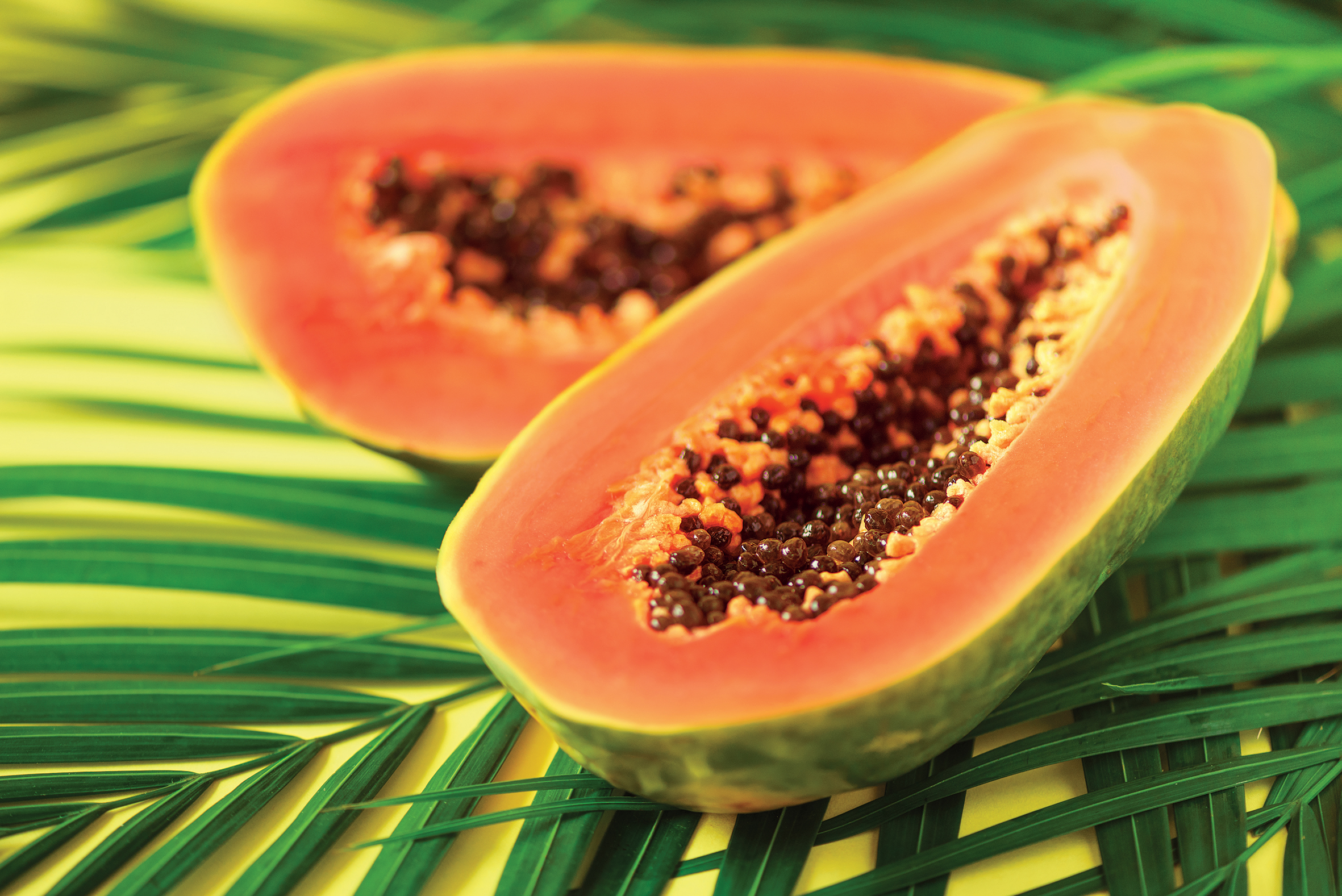 TASTE OF THE TABLELANDS