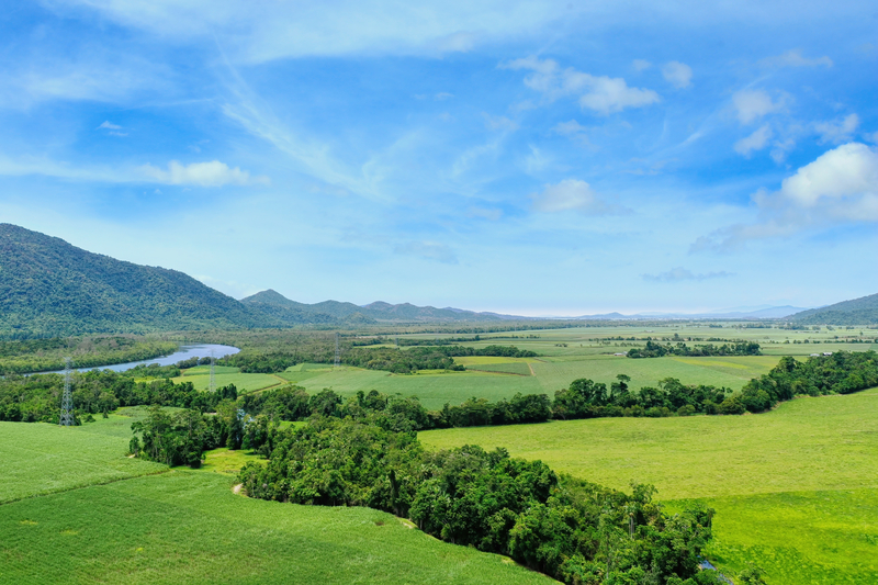 PARONELLA PARK EXPERIENCE