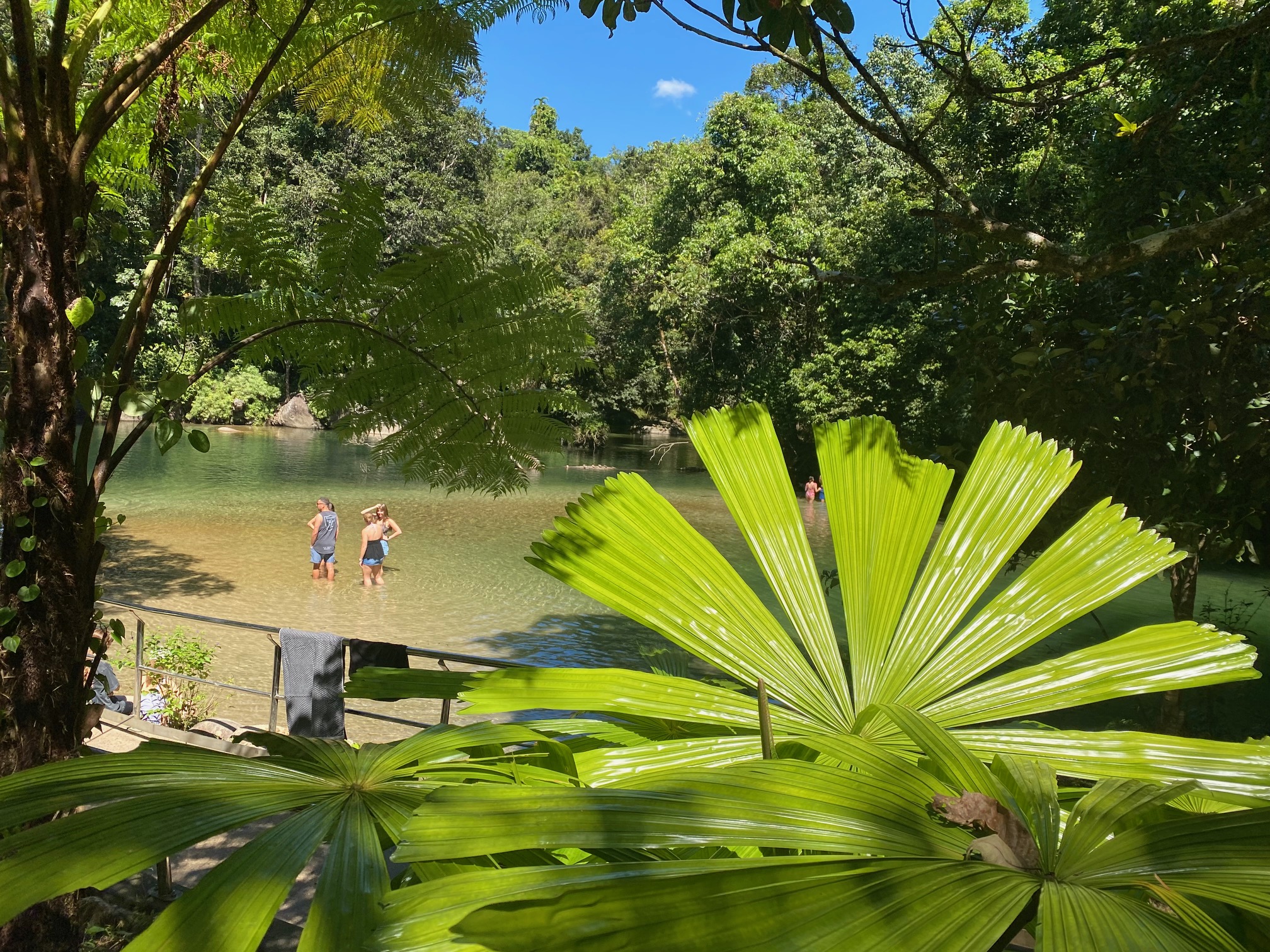CASSOWARY COAST WATERFALL CULTURE TOUR