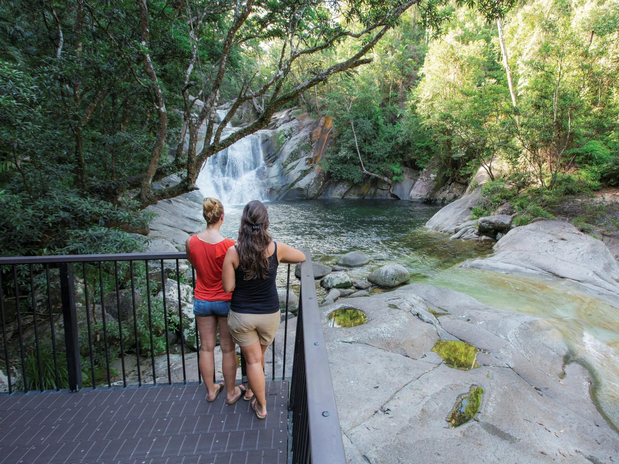 CASSOWARY COAST WATERFALL CULTURE TOUR