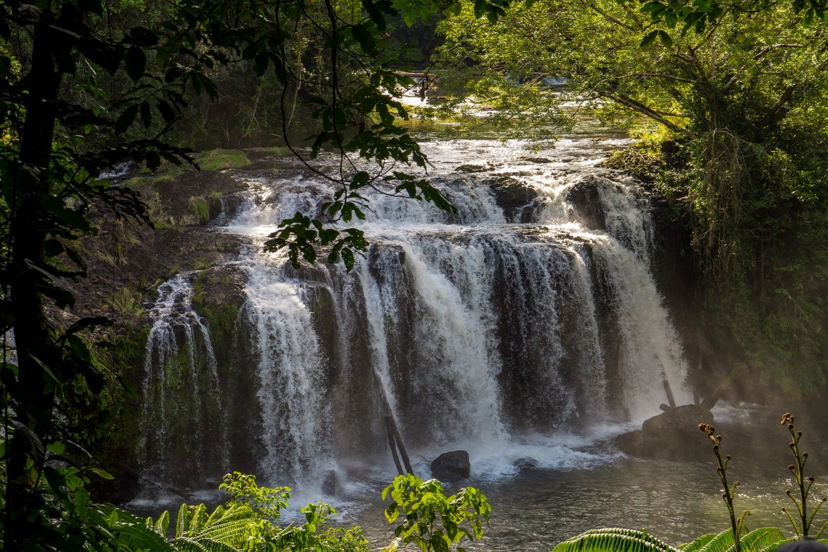 Tropical North Qlds Private Tours
