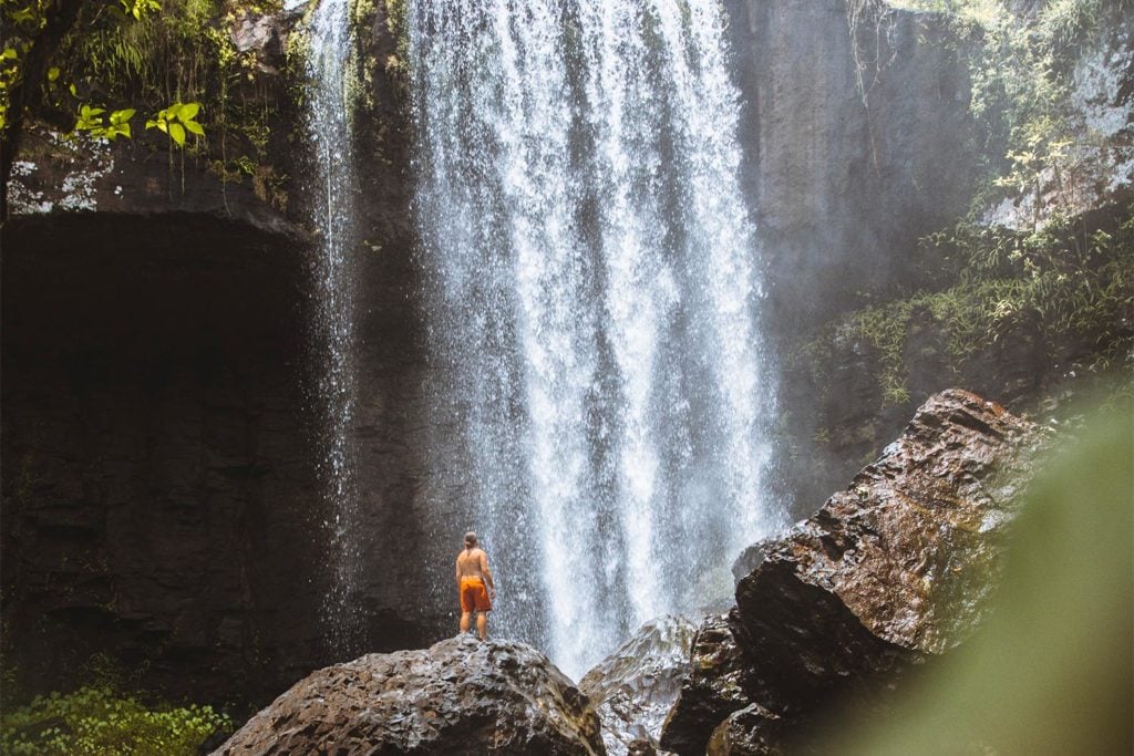 Tropical North Qlds Private Tours