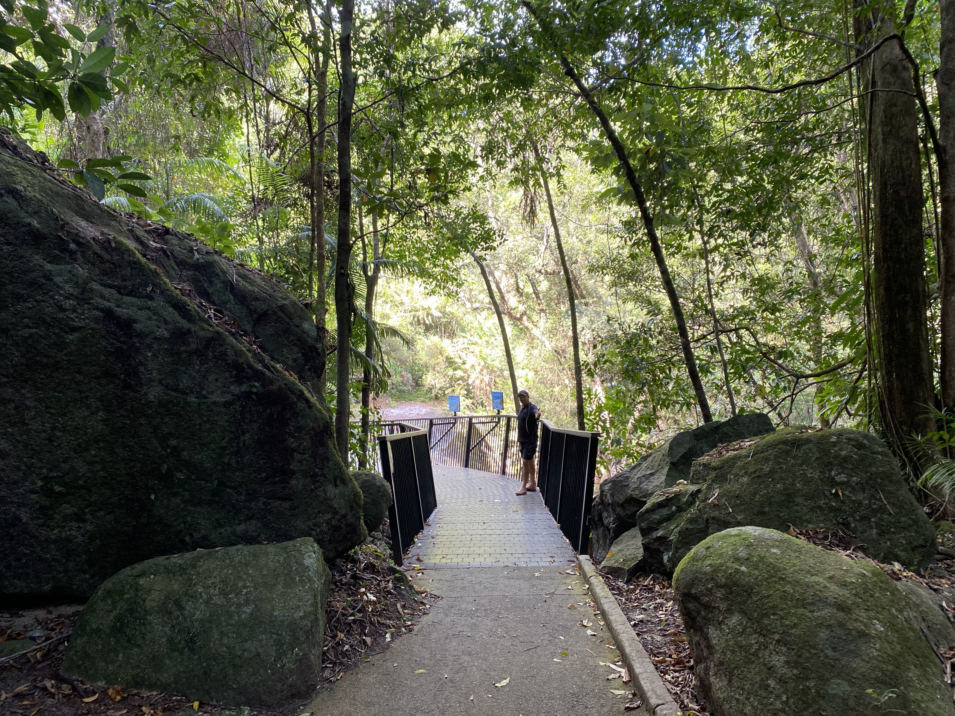 CASSOWARY COAST WATERFALL CULTURE TOUR