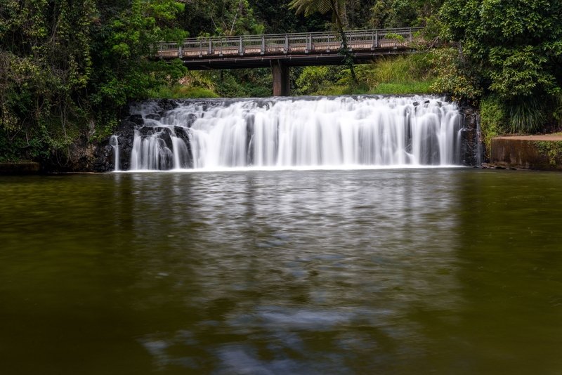 TASTE OF THE TABLELANDS