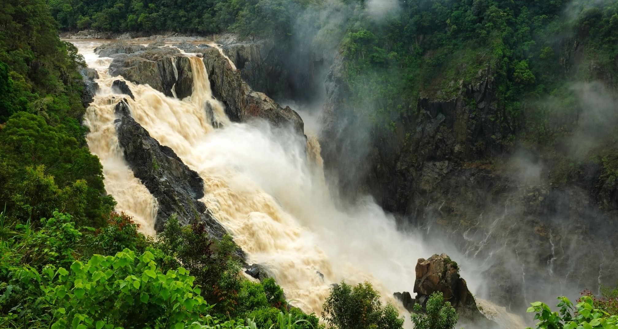 Tropical North Qlds Private Tours