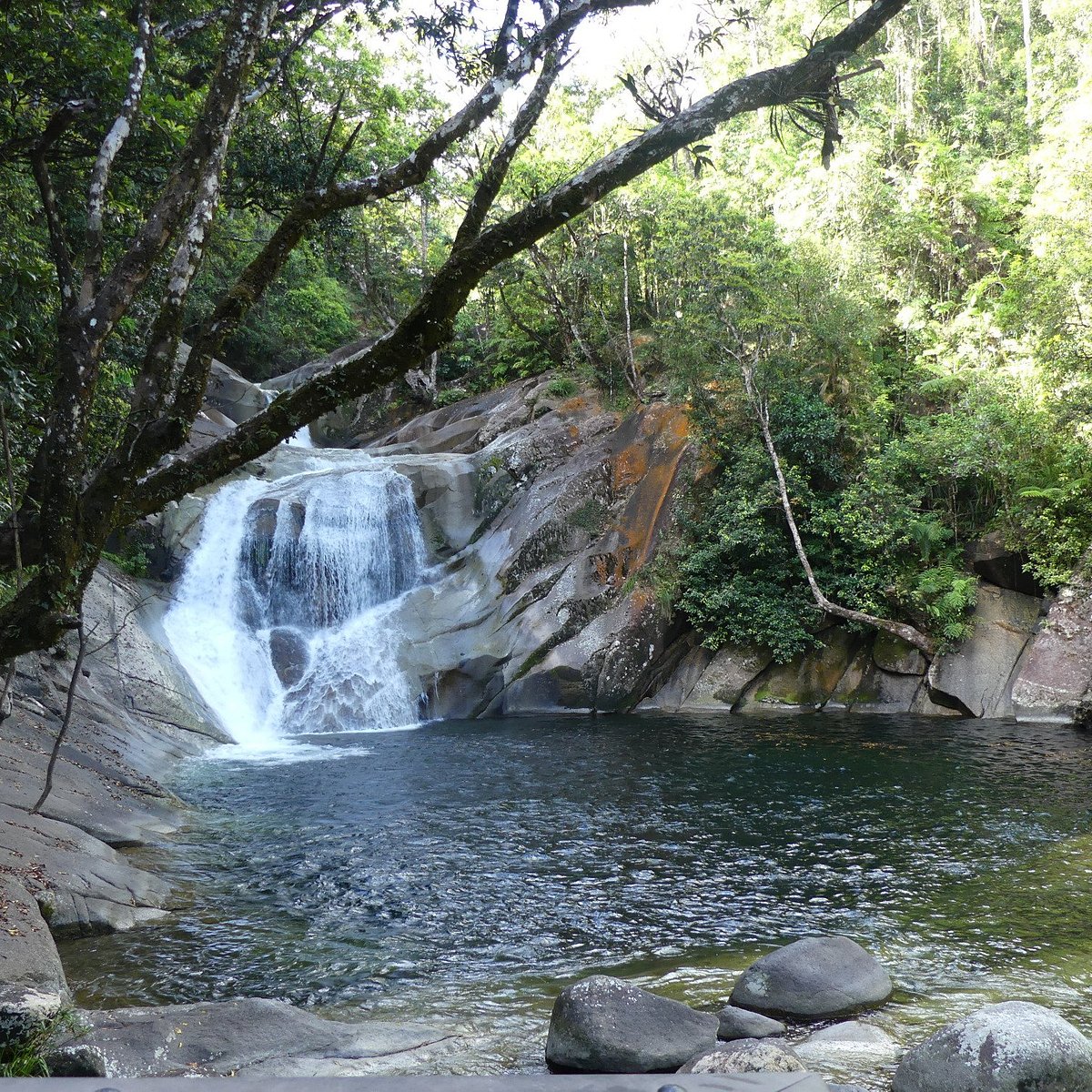 Tropical North Qlds Private Tours