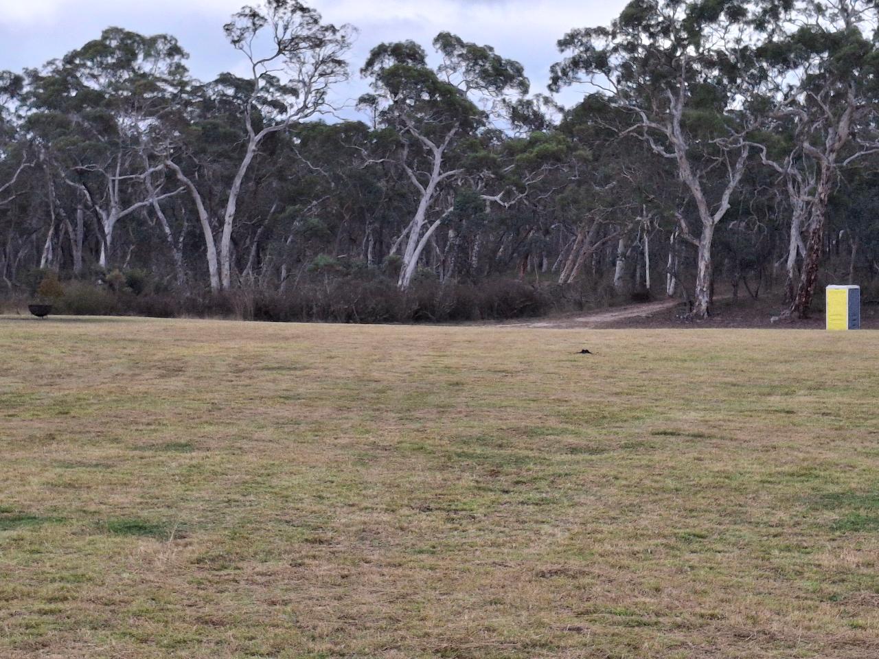 Farm Camp Site 1