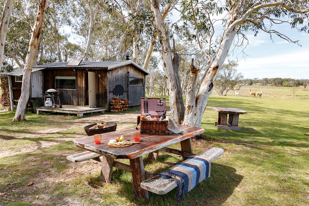 Rustic Bush Cabin with moon bathing facilities