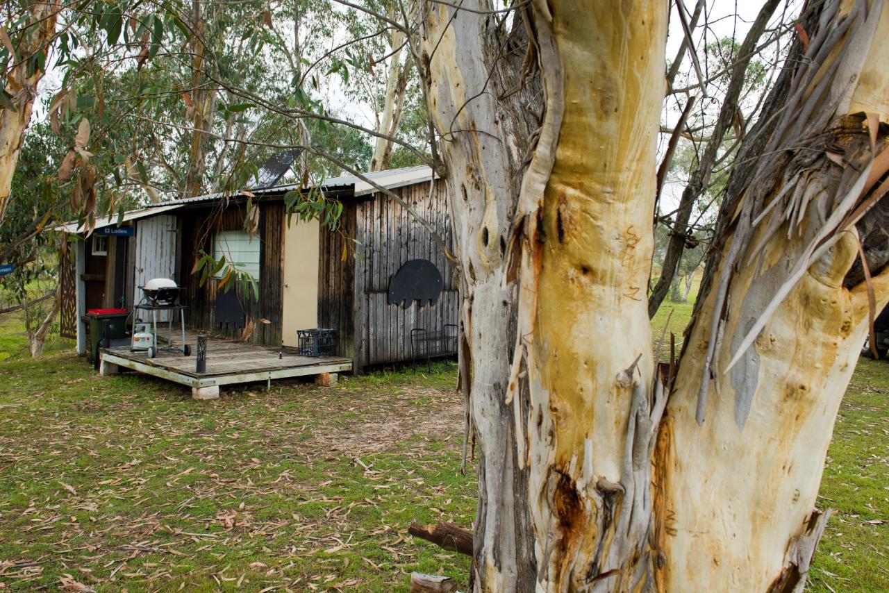 Rustic Bush Cabin with moon bathing facilities