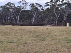 Farm Camp Site 3