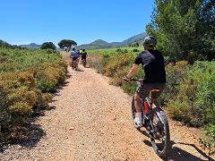 Tour VTT electrique "Les Calanques 2h" (niveau intermediaire) - E-mountain bike tour "Les 2 Calanques 2h" (average level)