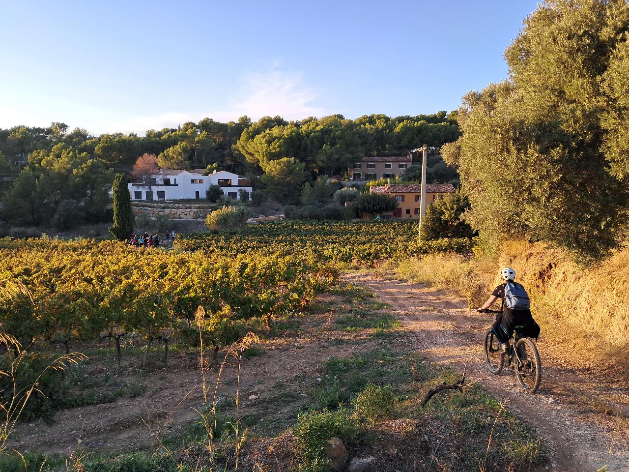 Tour Velo Electrique Cassis "Les 12 Domaines" (niveau facile) 2h30