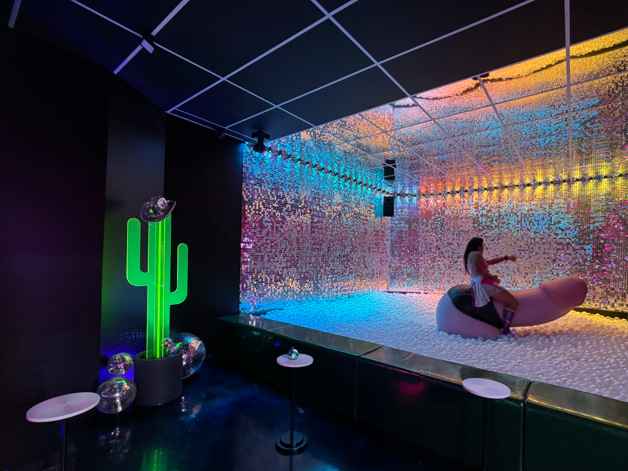 Slick Dick's Wild Ride - The World's Only Dick Arcade
