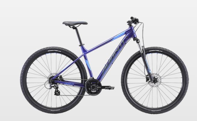 Mountain Bikes - Half day hire (Coolangatta)