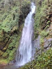 From Cali: El Paraiso Waterfall Guided Hiking Tour
