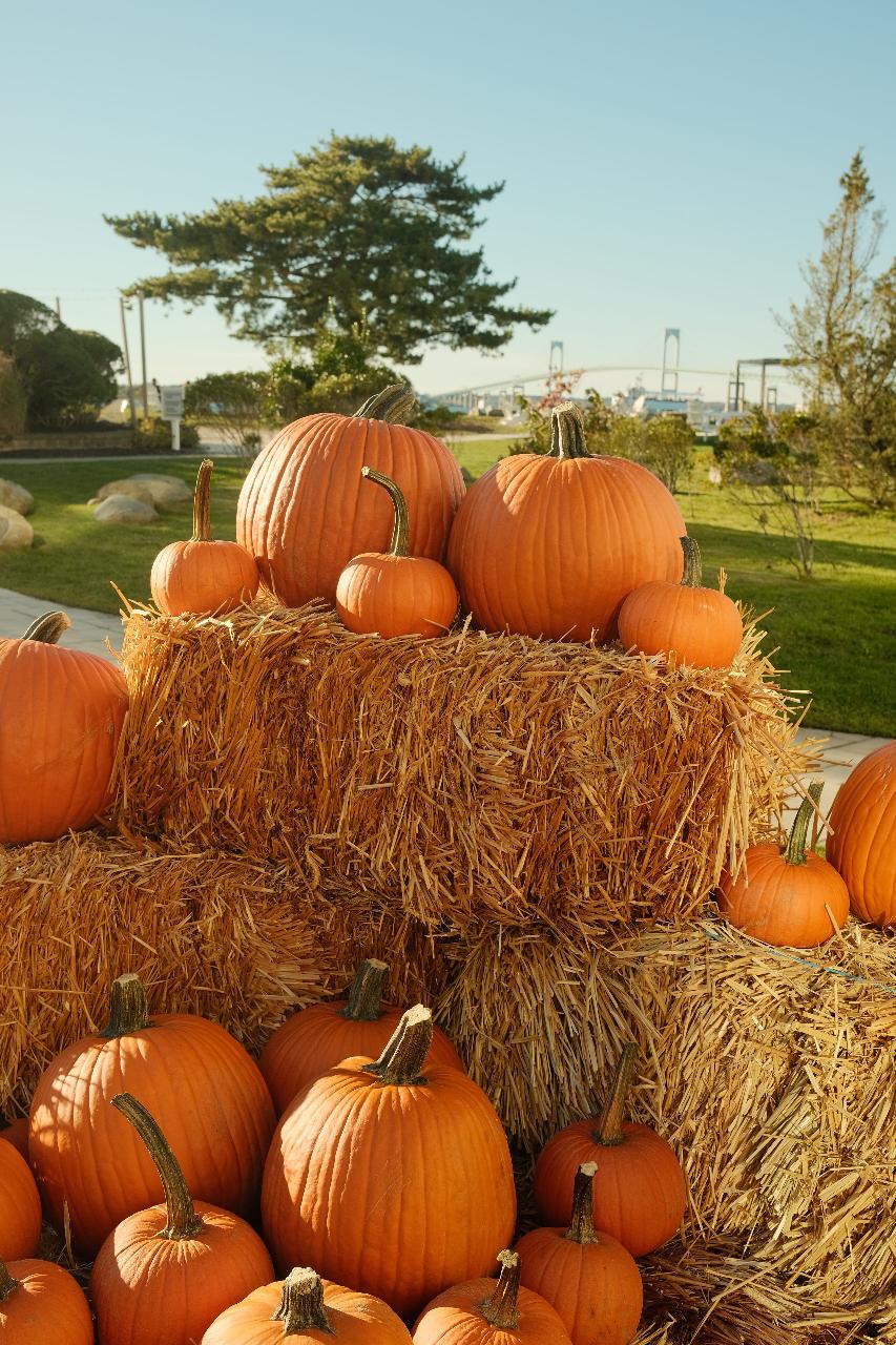 Goats & Gourds: Fall Fest on Goat Island