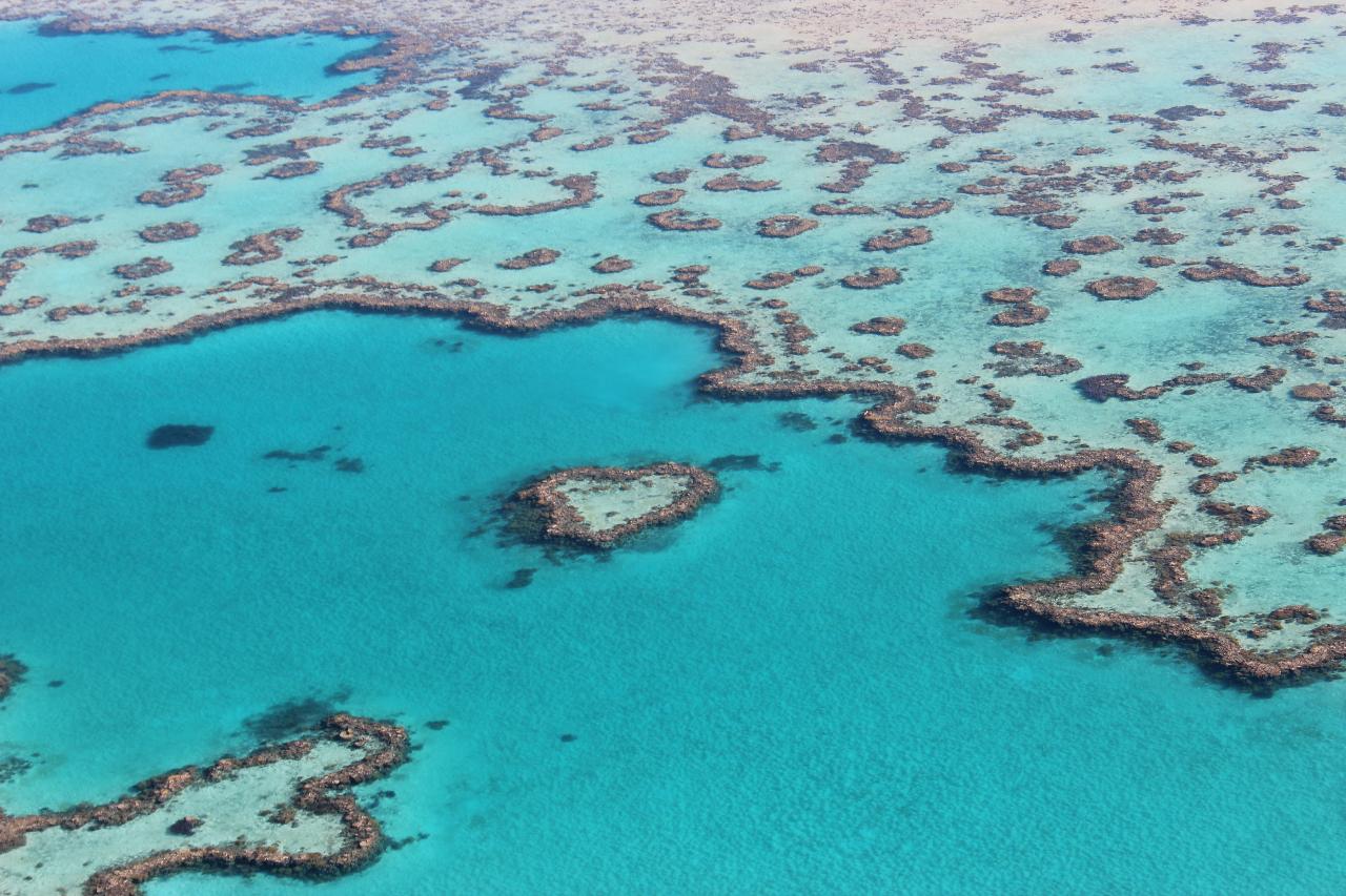 Exclusive Reef & Island Scenic Flight