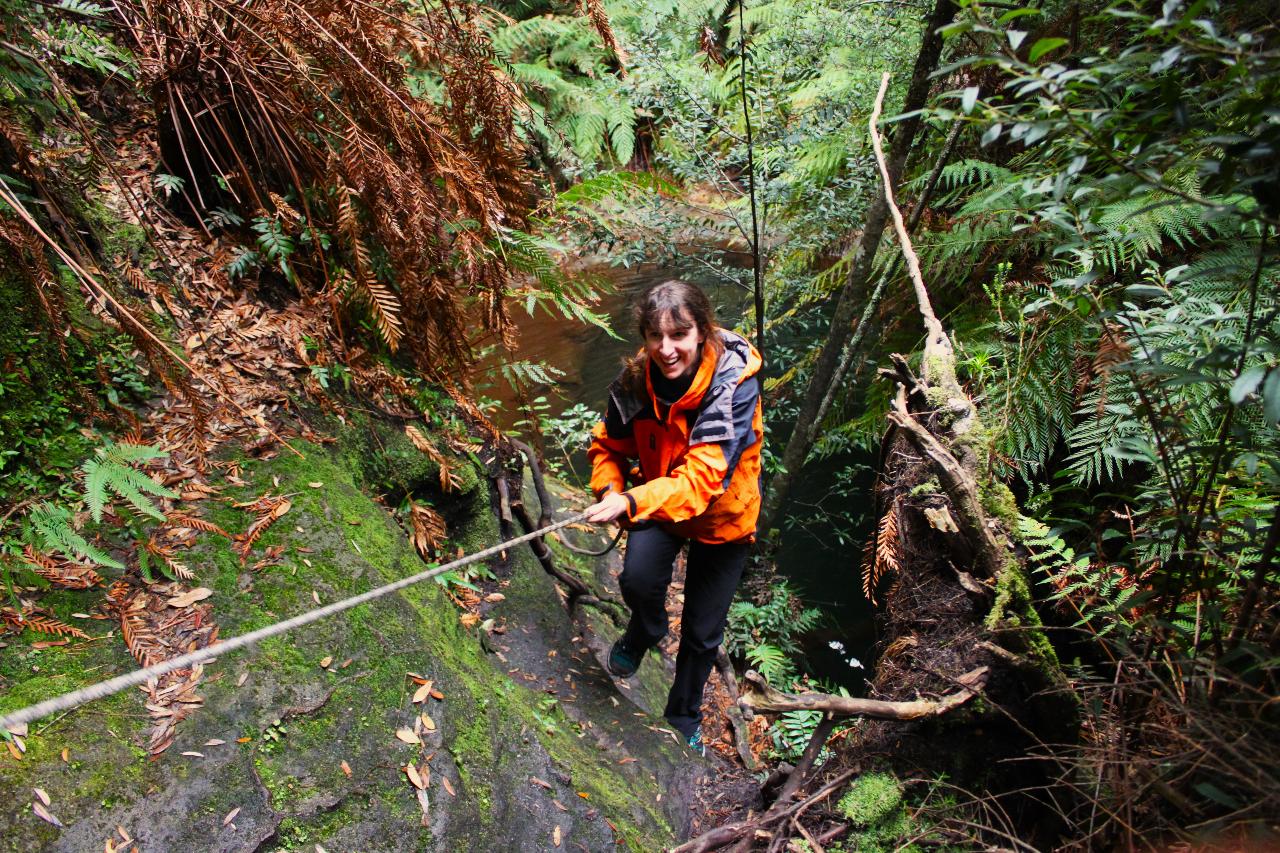 Adventurous Off Track Bushwalk - Full Day 