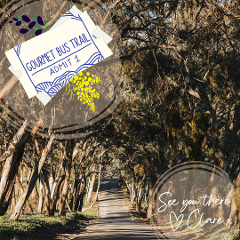 Gourmet Bus Trail - Towering Redgums Trail - Bus 1