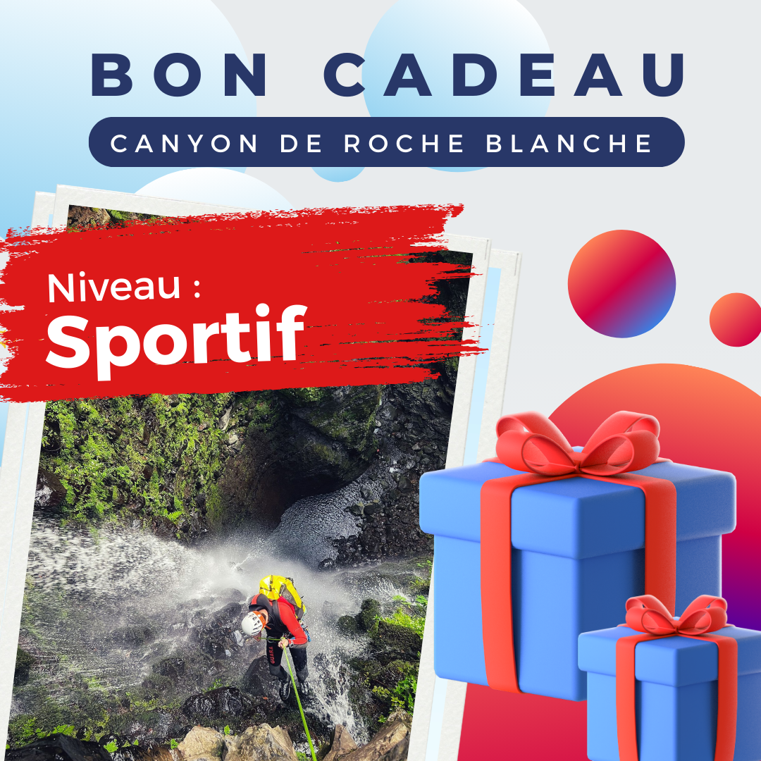 Bon Cadeau Canyon de Roche Blanche, Païta (Niveau Sportif) Journée