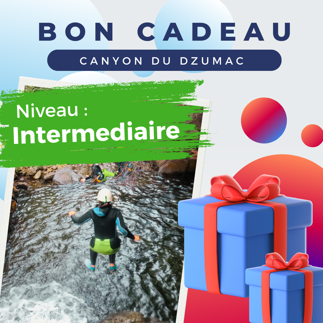 Bon Cadeau Canyon du Dzumac (Niveau Intermediaire) Journée