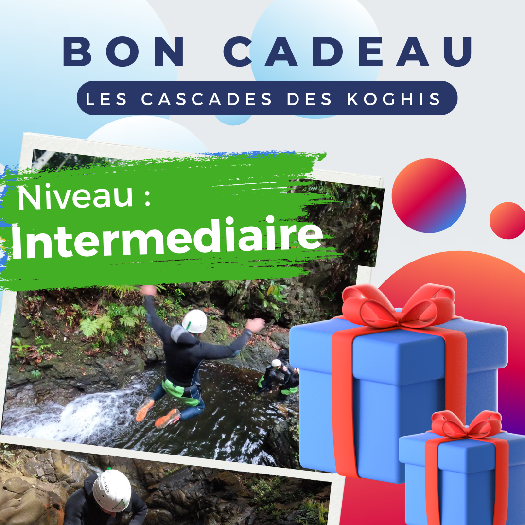 Bon Cadeau Cascades des Koghis (Niveau Intermediaire) Journée