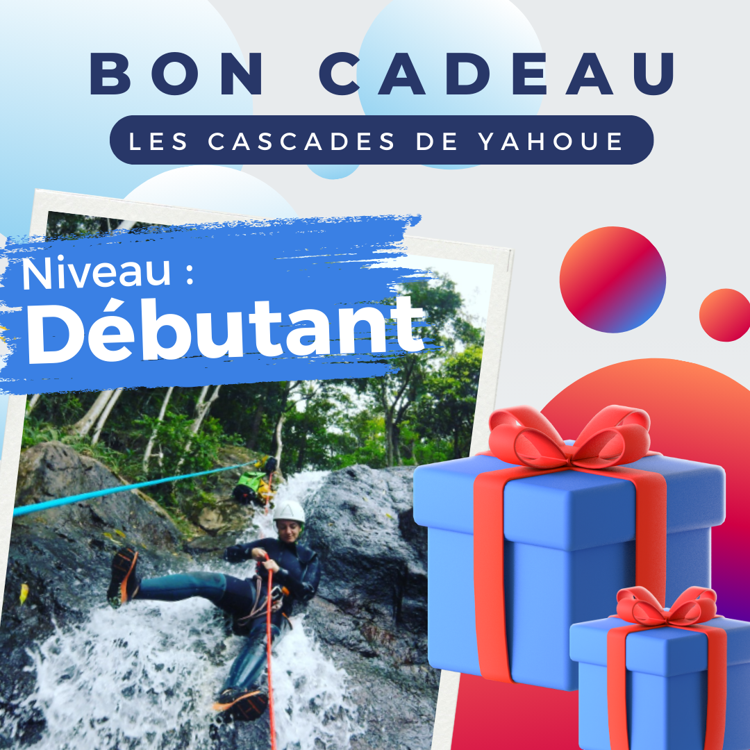  Bon cadeau Cascades de Yahoué (Niveau débutant) ½ Journée