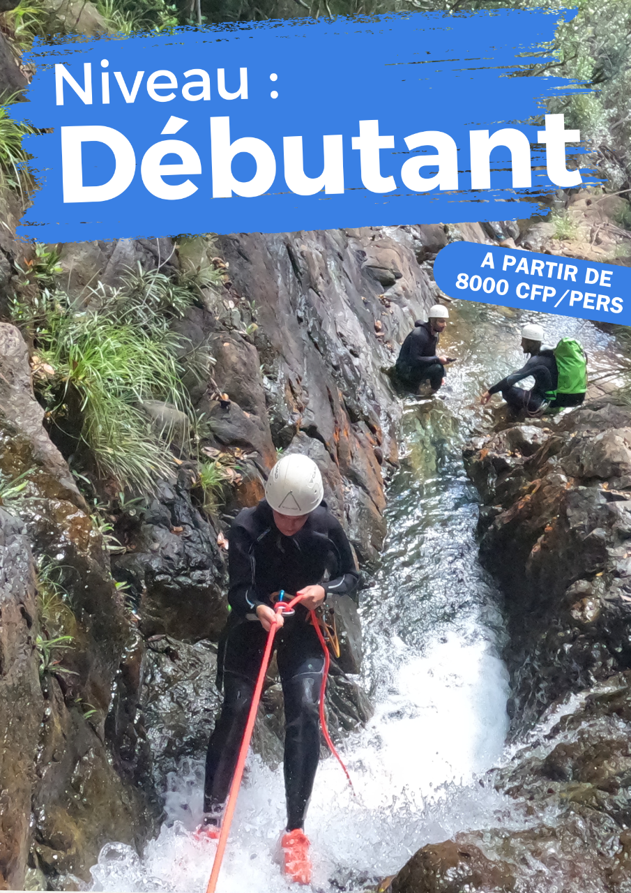 Cascades de Dumbéa (Débutant) ½ Journée