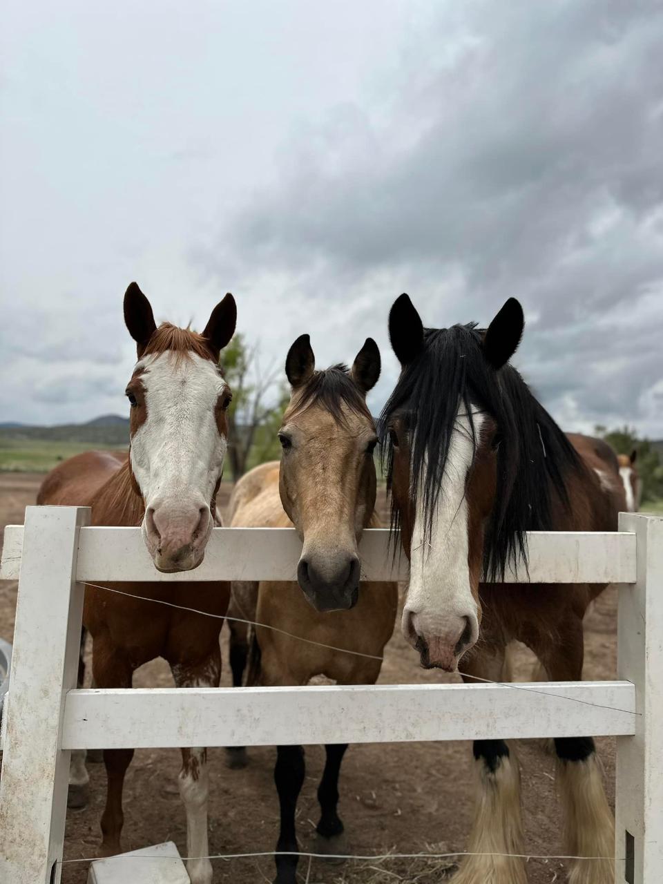 Pony Birthday Party