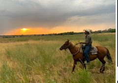 2 Hour Sunset Dinner Ride 