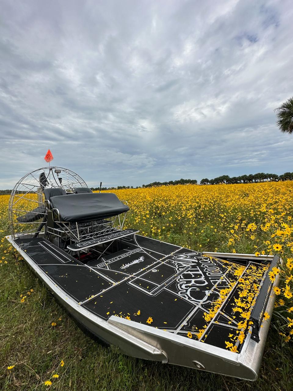 90-Minute Airboat Tour - Night Time 