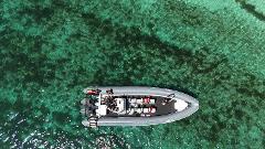 Half Day Private Charter