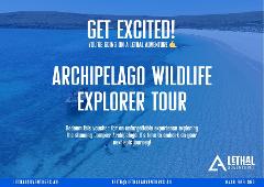Gift Certificate - Archipelago Wildlife Explorer Tour