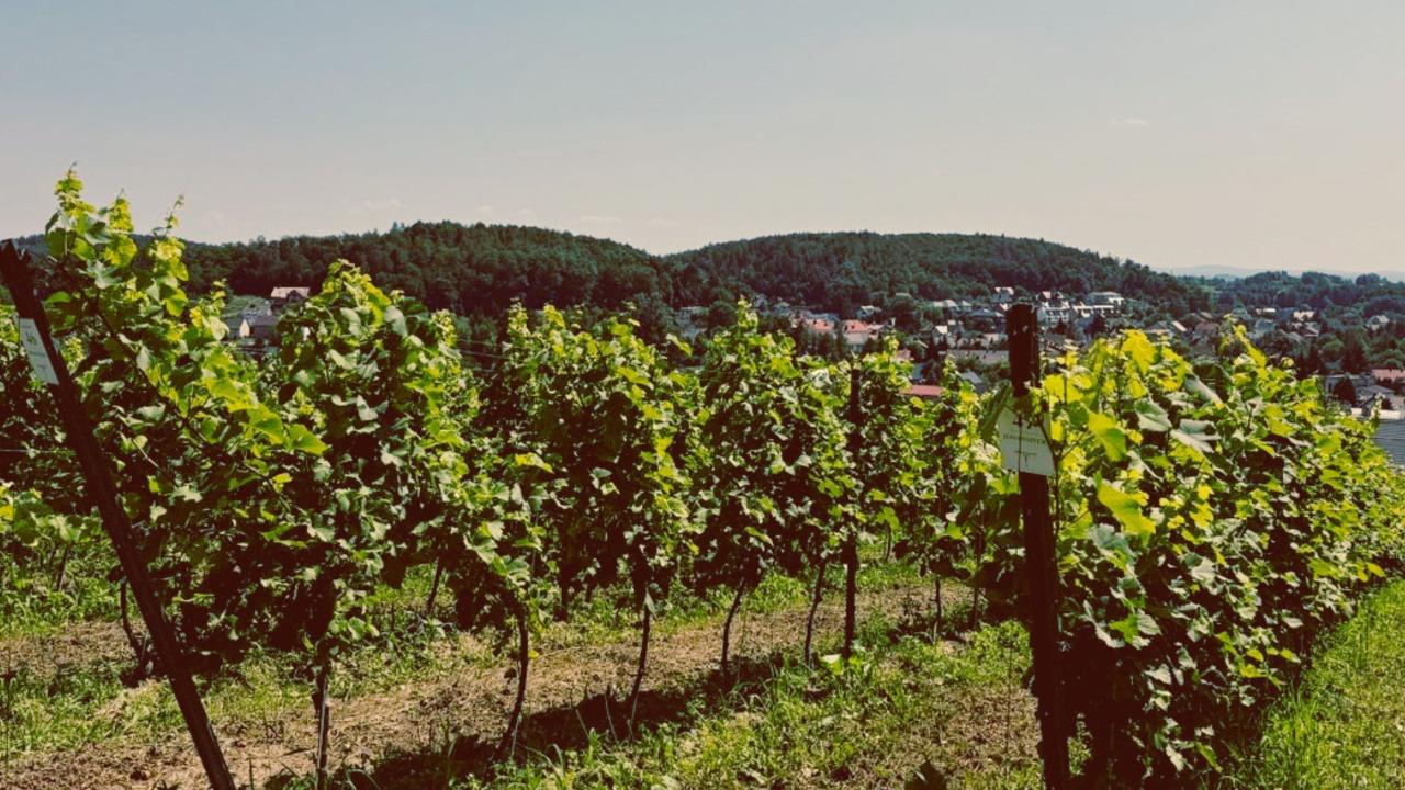 Tyniec Abbey & Private Winery Experience