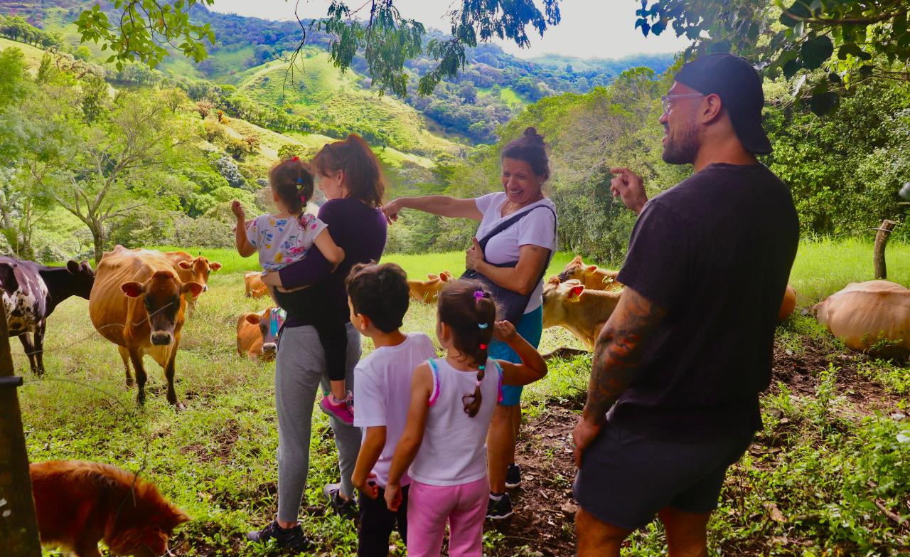 Farm Cheese Tour in Monteverde