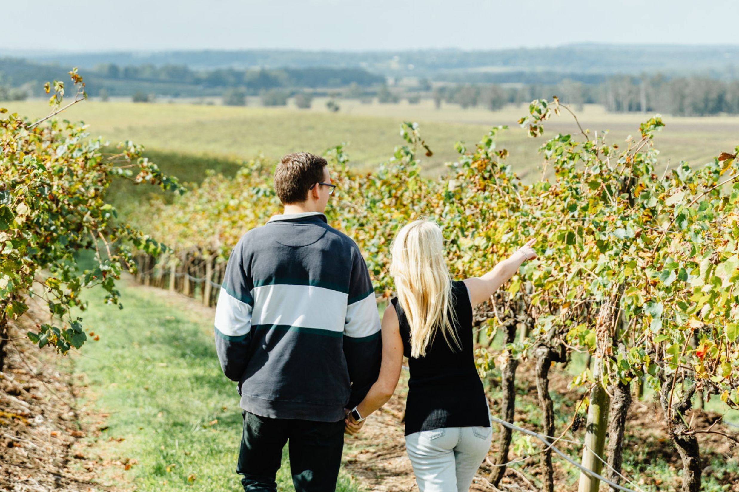 Private Hunter Valley Wine Tour Departing from Newcastle