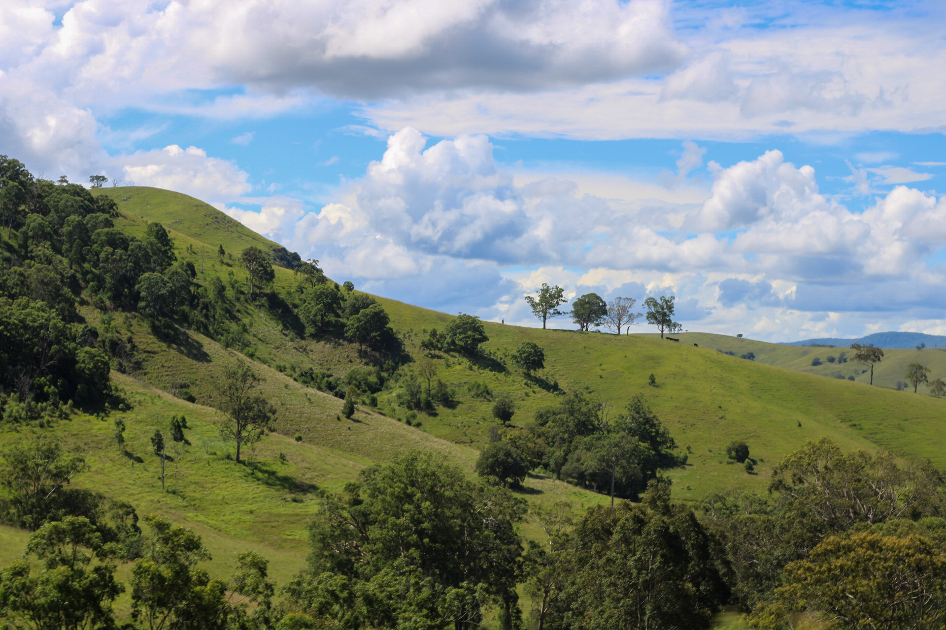 Country Towns: River & Farm Tour.