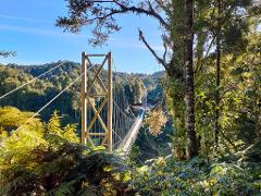 Riding Rotorua & Timber Trail