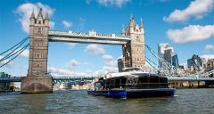 London Sightseeing Private Black Cab Tour with Hotel Pick Up