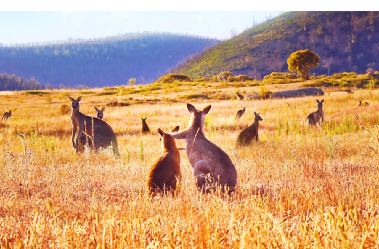  South Coast & Kangaroo Valley, Southern Highlands 