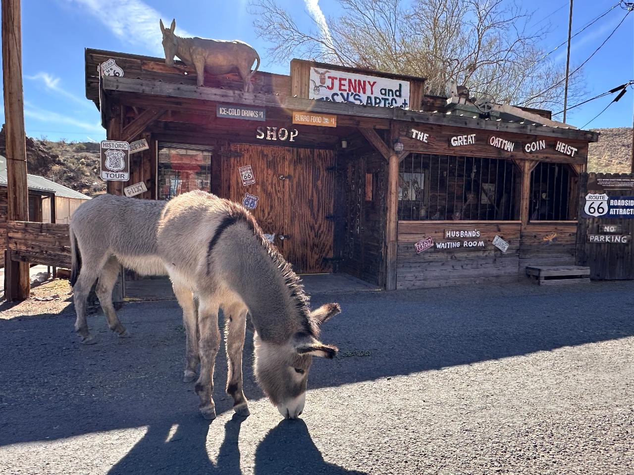 Excursion avec un guide français sur la Route 66