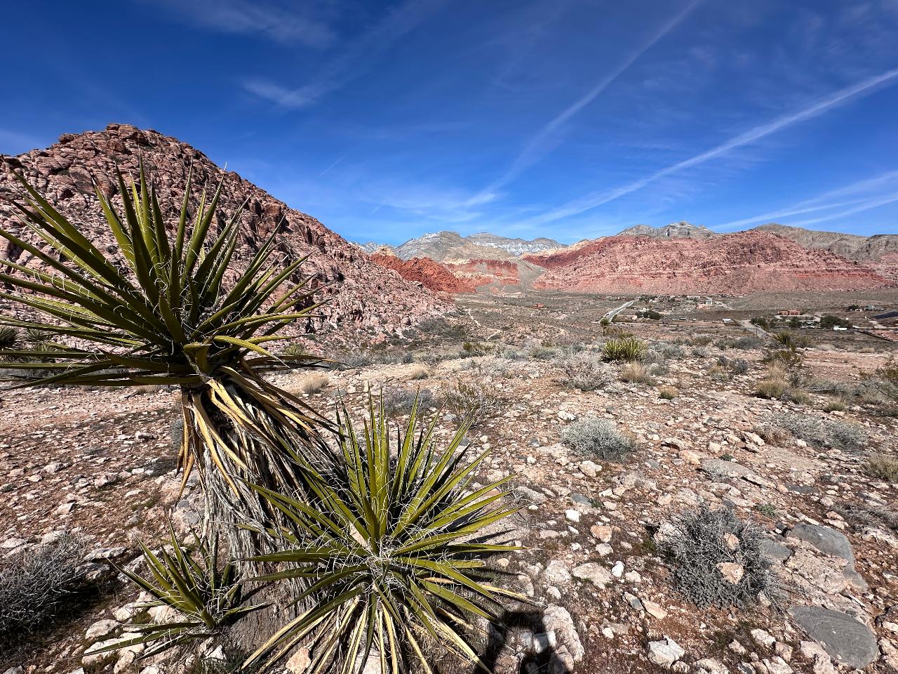 Red Rock Canyon, Pioneer Saloon et les Seven Magic Mountains
