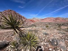Red Rock Canyon, Pioneer Saloon et les Seven Magic Mountains