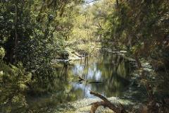 Noongar Kaatdjin Bidi - Noongar Knowledge River Path