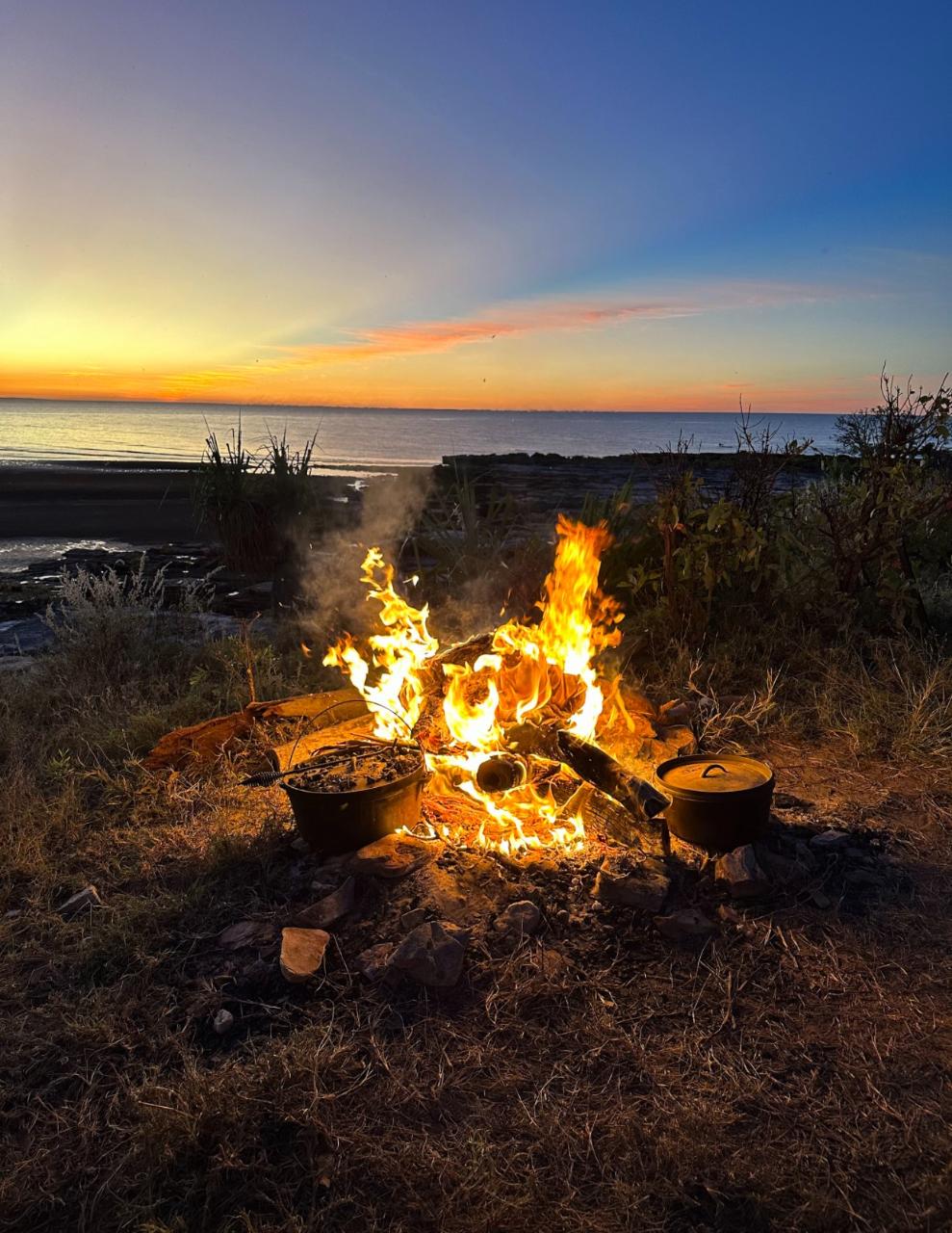Overnight Safari