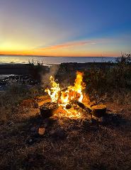 Overnight Safari