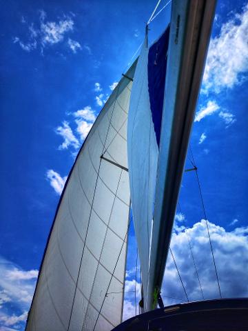 ce38bf97b48d4a9b8fabaa8ba32222b7Segel